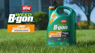 Kill lawn weeds and save your grass Ortho WEEDBGONE spray application and review [upl. by Bernardine]