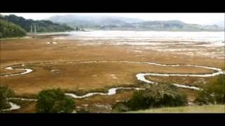 Sea Level Rise In San Francisco Bay Marsh  Video [upl. by Leno]