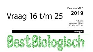 Biologie examen VWO 2019 tweede tijdvak vraag 16 tm 25 [upl. by Nodrog]