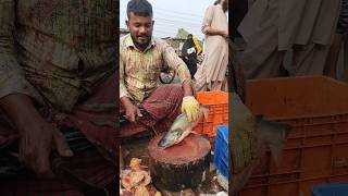 Amazing Great Delicious Pangas Fish Cutting Techniques  Fish Cutting Skills [upl. by Bar]