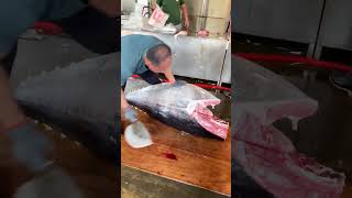 Blackfin Tuna First Slice – A Masterclass in Precision [upl. by Airlia]