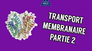 Transports membranaire  Partie 2 [upl. by Zonda]