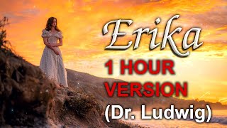 Erika musicbox lullaby version  1 hour  Original by Dr Ludwigs archive [upl. by Arhez]