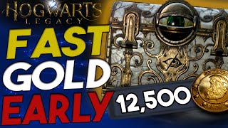 Hogwarts Legacy How to get Rich Early Game ALL Eye Chest Locations [upl. by Iorgos]