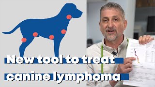 New tool to treat canine lymphoma [upl. by Annaek87]