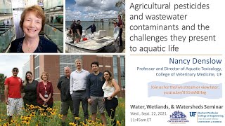 W3 seminar Agricultural pesticides and wastewater contaminants challenges to aquatic life [upl. by Lambard330]