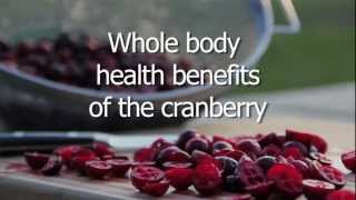 Whole Body Health Benefits of the Cranberry [upl. by Arihat]