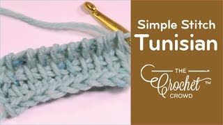 Beginners How to Tunisian Simple Stitch [upl. by Nahte]