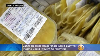 Johns Hopkins Researchers Ask If Survivor Plasma Could Prevent Coronavirus [upl. by Aniral704]