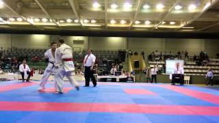 World Championships Ashihara Karate 2014  Caldarusa Florin Vs Oliver Krogstrup [upl. by Cary]