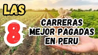 LAS 8 CARRERAS MEJOR PAGADAS EN PERU 2024 [upl. by Airebma]