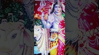 Ardhnarishwar stotramkarthika masam special day 9 [upl. by Hinkel]