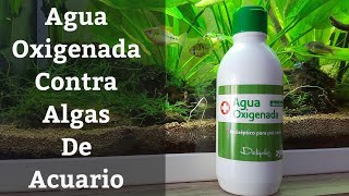 🔵 Agua Oxigenada Para El Acuario Para Eliminar Algas Acuarios MB [upl. by Aicitan]