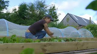 🔴 Gardeners World 2023  🍀This Impressive Kitchen Garden Grows 80 of Their Vegetables Using No [upl. by Braswell]