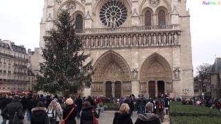 All bells ringing at Notre Dame Cathedral in Paris [upl. by Oinotnas]