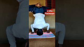 Stomach and Chest painshorts shortvideo rintutechstudioyoga [upl. by Hanafee]