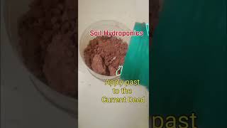 Apply past to current Deed  soil Hydroponics indoor famring telugu health success aiandagri [upl. by Adnohsirk]