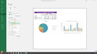 Excel 3652019 Working with Sales Data [upl. by Eiffe]