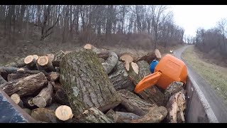 Prepping Stihl Farm Boss and Cutting Firewood [upl. by Adyaj]