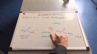 Esterification [upl. by Ttevi]