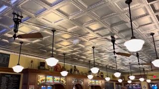 Fanimation Belt Driven Ceiling Fans  an ice cream parlor [upl. by Mickey154]