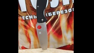 Нож Spyderco Resilience C142G Обзор и мнение [upl. by Angelia]