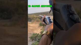 12 Gauge Shotgun youtubeshorts 12gaugeshotgun 12gauge miltiq outdooradventure WildlifeHunting [upl. by Furlani]