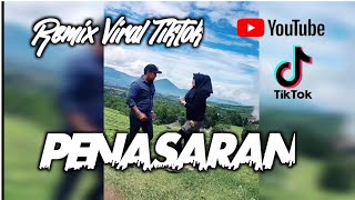 PENASARAN REMIX VIRAL TIKTOK [upl. by Zakaria]