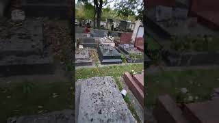 ASMR French Cemetery Whisper old stone Cimetière Montparnasse  Montparnasse Cemetery S552🪦4 [upl. by Airol53]