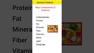 The Major Components of Food Components of Food [upl. by Ema]