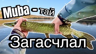 Цурхайтай 🎣Загасчлал🎣 Northern pike fishing in Mongolia [upl. by Kapoor]