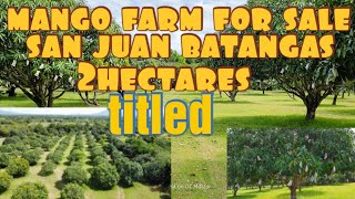 mango farm for salesan juan batangas2hastitled [upl. by Akessej]