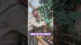 HARRY POTTER STUDIO’S⚡️🤩 shortfeed shorts shortvideo shortsviral harrypotter harrypotterfan [upl. by Magill]