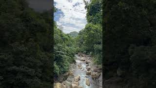 “Serenity in water trees and towering peaks” himachal nature love views [upl. by Nrubliw63]