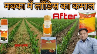 Bayer Laudis full information in hindi  Laudis लौडिस Laudis herbicide bayerLaudisherbicide [upl. by Alleuol721]