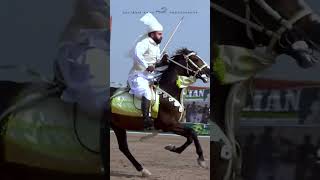 Sultan bhadar aziz nezabazi horse sultaniaawanhorseclub [upl. by Ahsinelg]