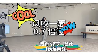 【风吹一夏】舞蹈教学 慢速镜面音乐 讲解教学 还没学的快来喽！ [upl. by Myk]