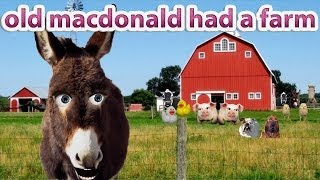 Old MacDonald Had A Farm [upl. by Bardo]