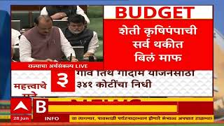 Ajit Pawar On Petrol Budget 2024  पेट्रोल डिझेलवरील कर घटवला ठाणेमुंबई नवी मुंबईत 65 पैसे स्वस्त [upl. by Betty]