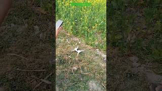 K80 Pro max drone flying [upl. by Templia754]