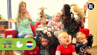 IN HOLLAND STAAT EEN HUIS  Kinderliedjes  Kinderdagverblijf  Minidisco [upl. by Grati]