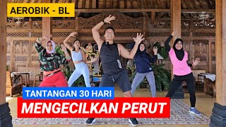 30 HARI MENGECILKAN PERUT  AEROBIK BL [upl. by Pammi]