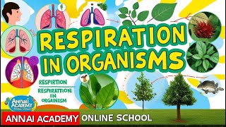 Breathe Easy Understanding Respiration in Organisms  ANNAI ACADEMY ONLINE SCHOOL [upl. by Cave]