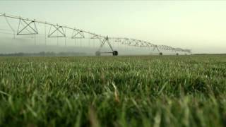 Center Pivot and Linear Irrigation Equipment for Farming  Valley Irrigation [upl. by Arluene]