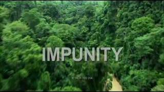 documental IMPUNITY Hollman Morris horror de los paramilitares en Colombia [upl. by Weinreb779]