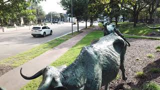 Bronze Cattle at the Shops of Legacy [upl. by Jose626]