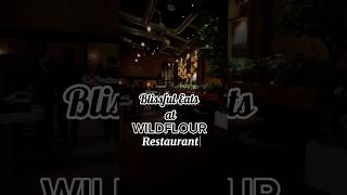 Blissful eats at WILDFLOUR Restaurant eatszone food travel reels [upl. by Eilac]