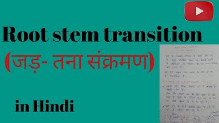 root stem transitionbsc third semester botany in Hindi [upl. by Are]