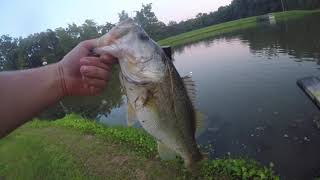 Booyah Buzzbait Bass Fishing [upl. by Reace268]