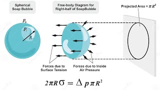 ද්‍රව බුඹුල ද්‍රව බින්දුව  පෘෂ්ඨික ආතතිය  Surface Tention  Physics  DReam ALevel  ද්‍රව පටල [upl. by Cornelia]